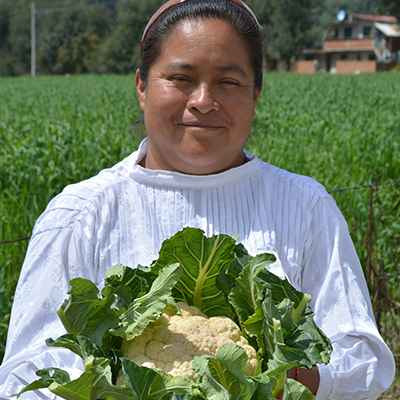 Mercado de trueque Grupo Herdez