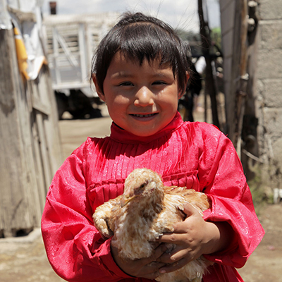 Desarrollo y bienestar de los niños Grupo Herdez