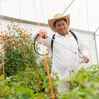 Programa de agricultura sustentable Grupo Herdez